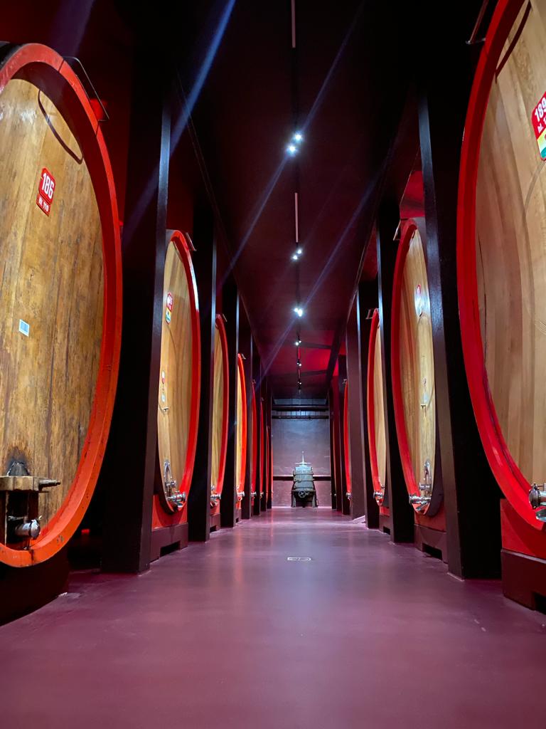 Installazione impianti elettrici cantina vini